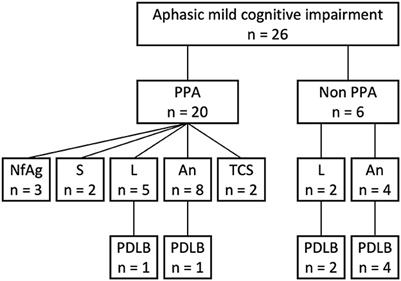 Aphasic mild cognitive impairment in prodromal dementia with Lewy bodies